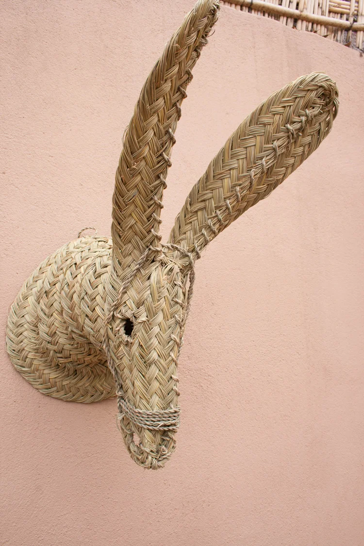 Grand trophée tête d’âne tressée