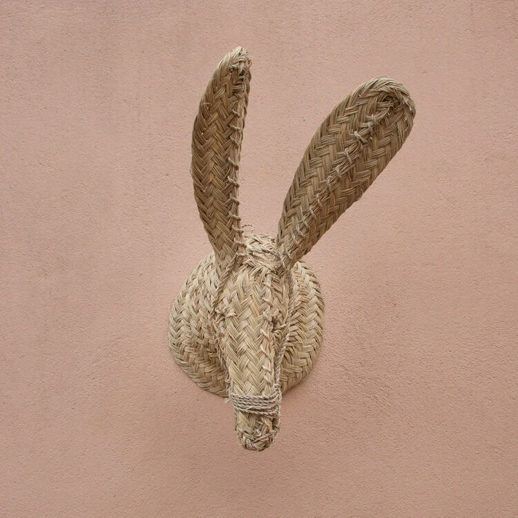 Grand trophée tête d’âne tressée - Image 3